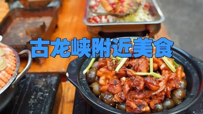 古龍魚莊的價格范圍（古龍魚莊價格范圍）
