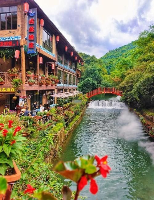 古龍魚莊的價格范圍（古龍魚莊價格范圍）