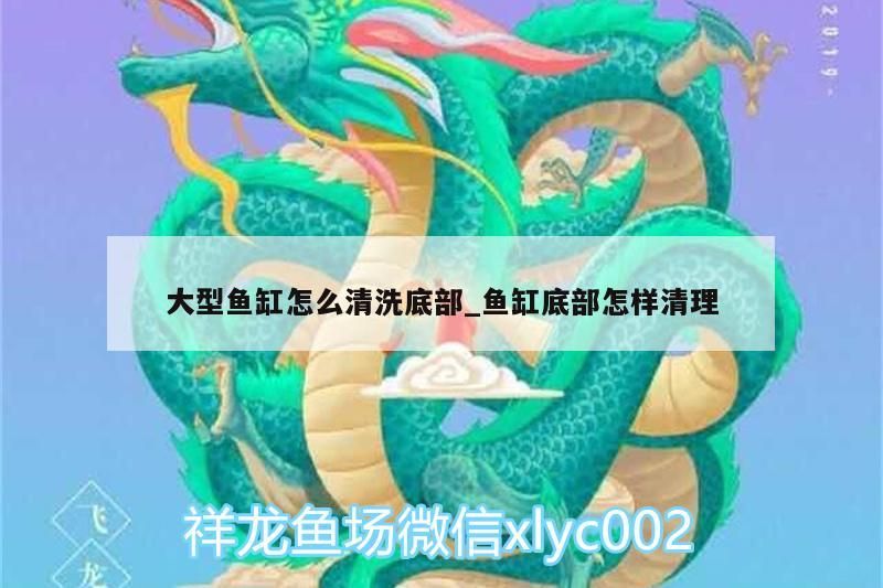 大型魚缸怎么清洗底部_魚缸底部怎樣清理（大型魚缸怎么清洗底部）