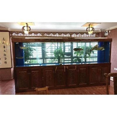 福州龍魚回收需要預約嗎（福州龍魚回收需要預約嗎福州龍魚回收需要預約嗎） 福州龍魚回收需要預約嗎（福州龍魚回收需要預約嗎福州龍魚回收需要預約嗎） 龍魚百科 第2張