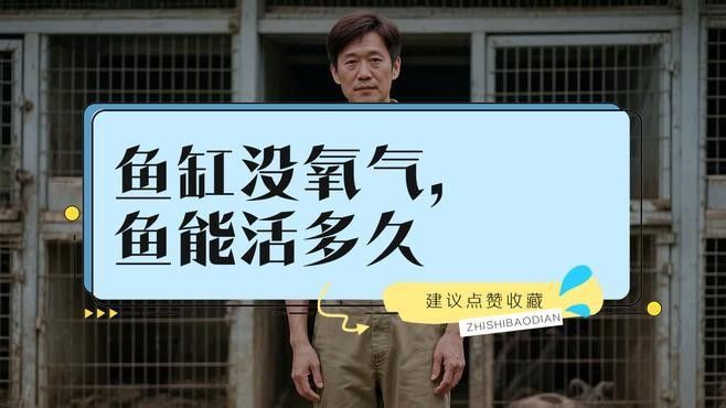 龍魚浮頭多久會死？（龍魚浮頭時間過長會對健康造成嚴重影響）