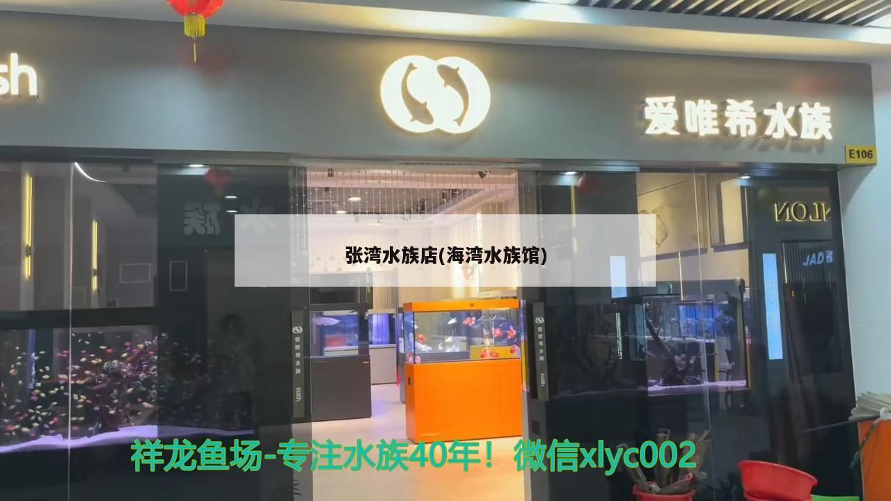 張灣水族店(海灣水族館)（東莞張灣水族館、張灣水族館、張灣水族館、張灣水族店）