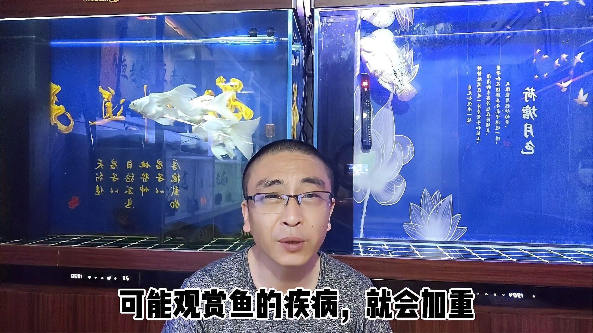 白子關(guān)刀魚最忌三種藥（白子關(guān)刀魚最忌的三種藥物）
