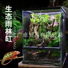 開心水族箱劍龍魚的價值如何（開心水族箱劍龍魚的價值主要體現(xiàn)在以下幾個方面）