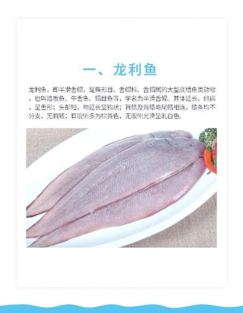 如何判斷龍利魚是否新鮮？