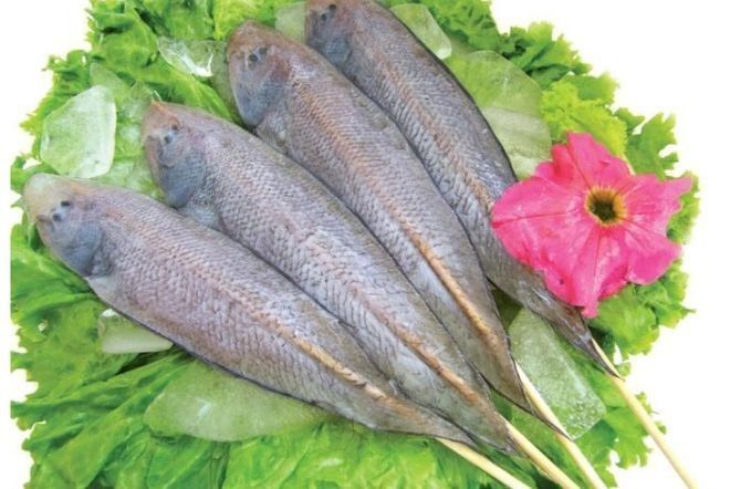 如何判斷龍利魚是否新鮮？