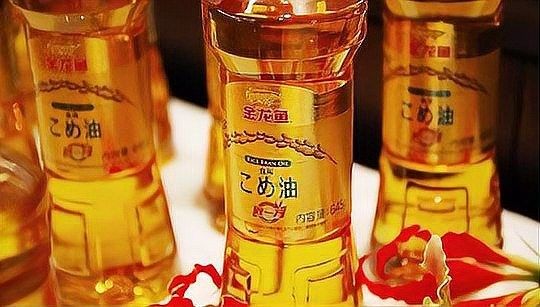 金龍魚在日本有生產基地嗎？（金龍魚在日本是否有生產基地，日本“米油熱”回歸）
