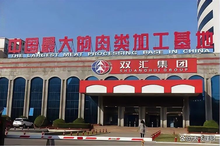 金龍魚在美國資本影響下的挑戰（美國資本對金龍魚的影響）
