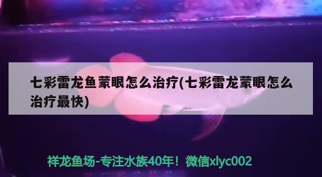 七彩雷龍魚蒙眼怎么治療(七彩雷龍蒙眼怎么治療最快)