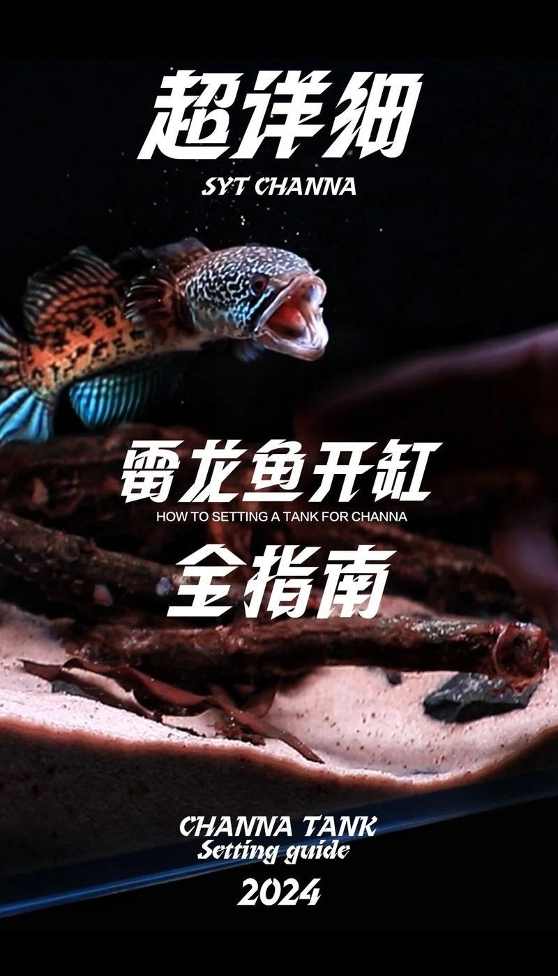 雷龍魚有哪些常見品種（養(yǎng)魚說，雷龍魚大全之常見大型雷龍篇）