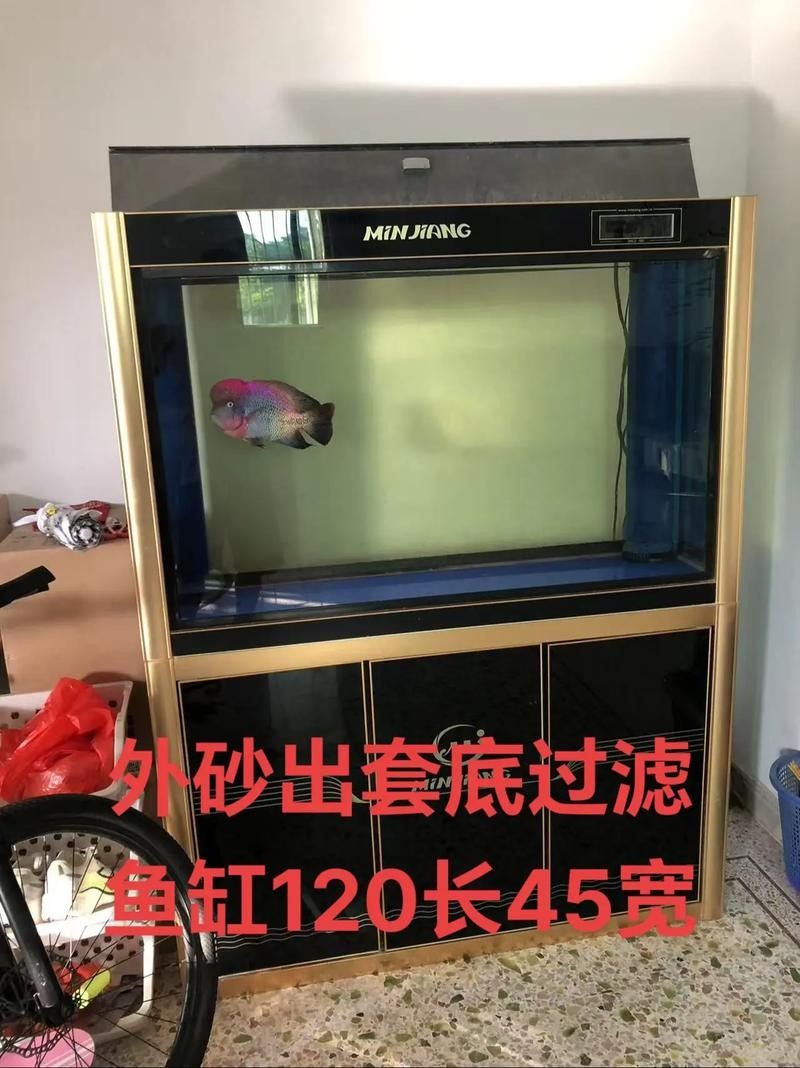隔離缸底砂材質有哪些推薦(隔離缸底砂材質推薦) 龍魚百科 第5張 隔離缸底砂材質有哪些推薦(隔離缸底砂材質推薦) 隔離缸底砂材質有哪些推薦(隔離缸底砂材質推薦) 龍魚百科 第5張