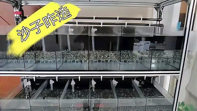 隔離缸底砂材質有哪些推薦（隔離缸底砂材質推薦） 隔離缸底砂材質有哪些推薦（隔離缸底砂材質推薦） 龍魚百科 第1張