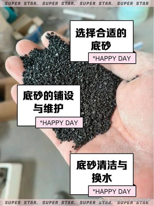 隔離缸底砂材質有哪些推薦(隔離缸底砂材質推薦) 龍魚百科 第8張 隔離缸底砂材質有哪些推薦(隔離缸底砂材質推薦) 隔離缸底砂材質有哪些推薦(隔離缸底砂材質推薦) 龍魚百科 第8張