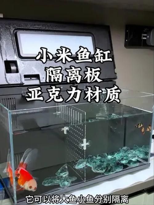 隔離缸底砂材質有哪些推薦(隔離缸底砂材質推薦) 龍魚百科 第4張 隔離缸底砂材質有哪些推薦(隔離缸底砂材質推薦) 隔離缸底砂材質有哪些推薦(隔離缸底砂材質推薦) 龍魚百科 第4張