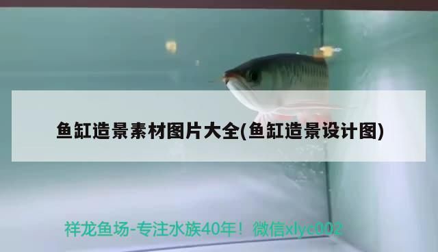 魚缸造景素材圖片大全(魚缸造景設計圖) 魚缸造景素材圖片大全(魚缸造景設計圖) 觀賞魚百科