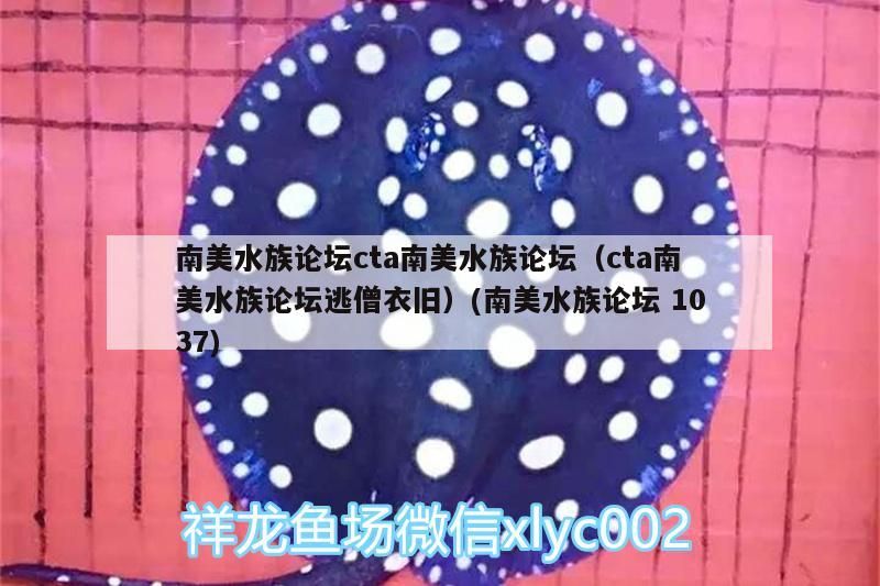 <strong><mark>南美水族</mark></strong>論壇cta<strong><mark>南美水族</mark></strong>論壇（cta<strong><mark>南美水族</mark></strong>論壇逃僧衣舊）(<strong><mark>南美水族</mark></strong>論壇1037)
