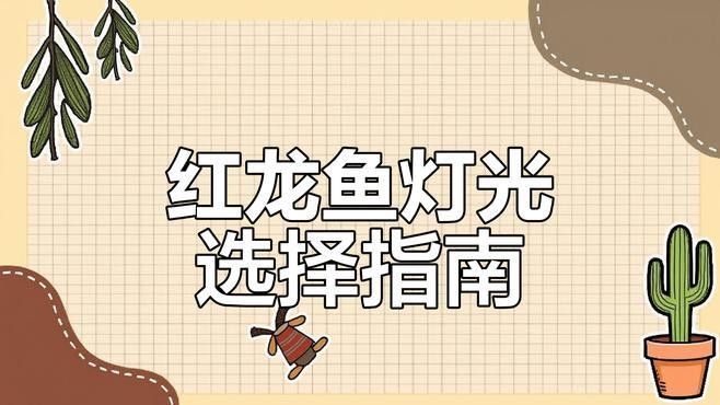哪款燈最適合紅龍魚（紅龍銀龍銀龍誘色燈/燈具選擇技巧） 哪款燈最適合紅龍魚（紅龍銀龍銀龍誘色燈/燈具選擇技巧） 龍魚百科 第1張