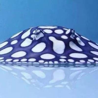 如何聯(lián)系福州金龍魚銷售點？