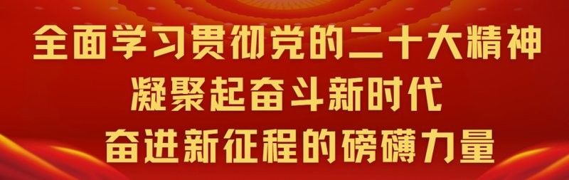 該幼兒園的師資力量如何？（幼兒園師資力量評估）