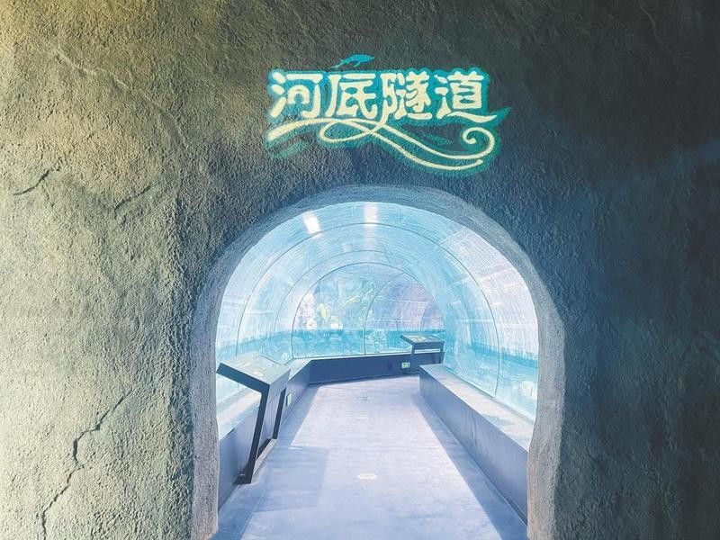 江州哪個水族館龍魚好？祥龍魚場龍魚（廣州祥龍魚場，紅龍魚價格表）