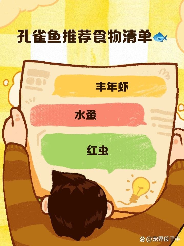 孔雀龍魚吃什么顏色更鮮艷（孔雀魚吃什么飼料增色快，怎么養增色快）