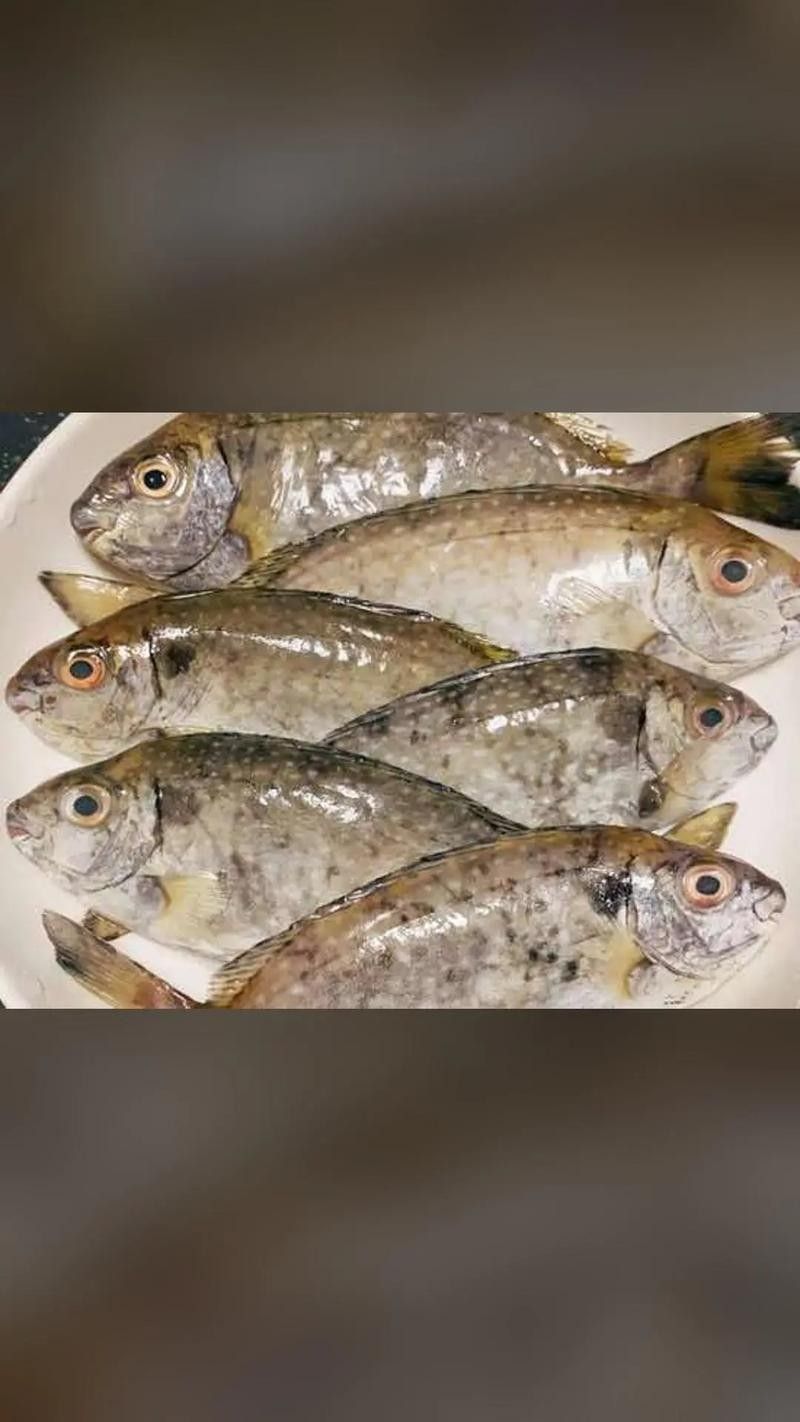 給我一張萬龍魚的全景圖（萬龍魚的生態習性）