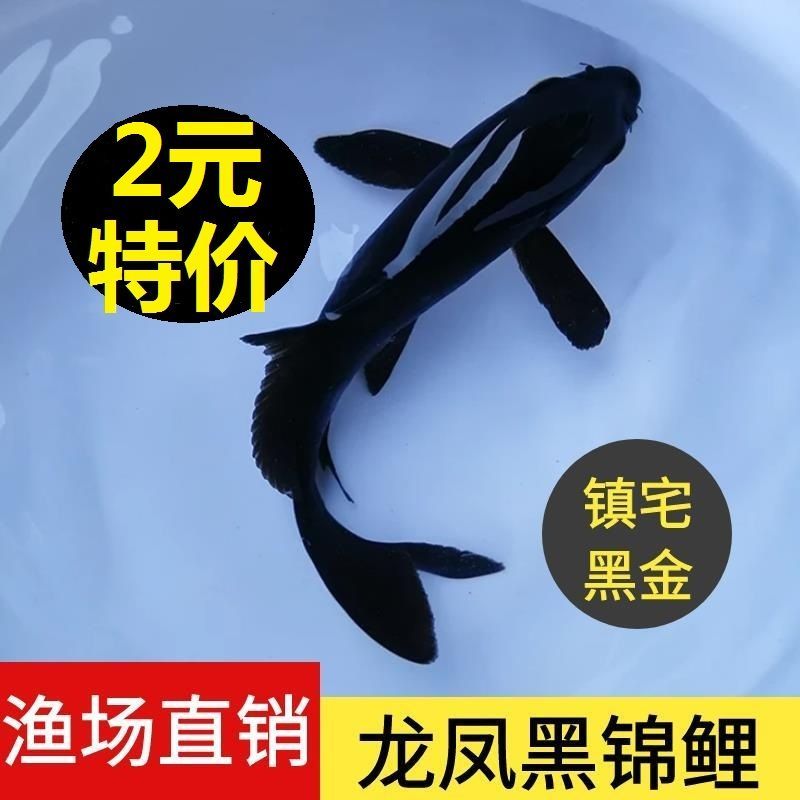 看你還打（ai在教育領域的應用）