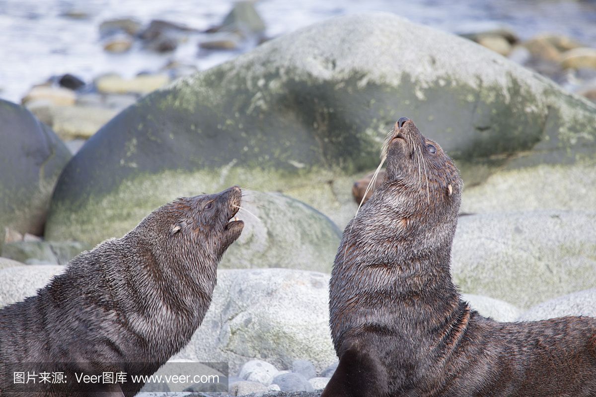 魚秀水族花卉館