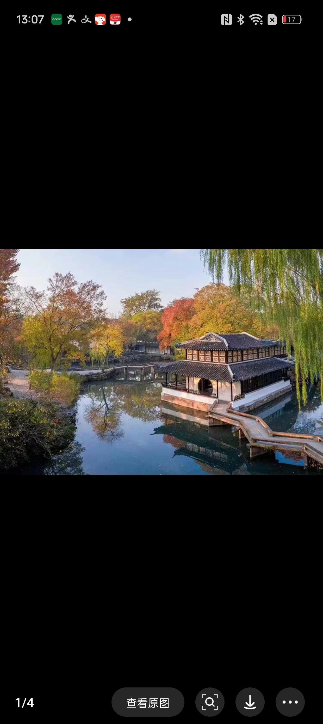 原州哪個水族館龍魚好？祥龍魚場龍魚（原州水族館——祥龍魚場）