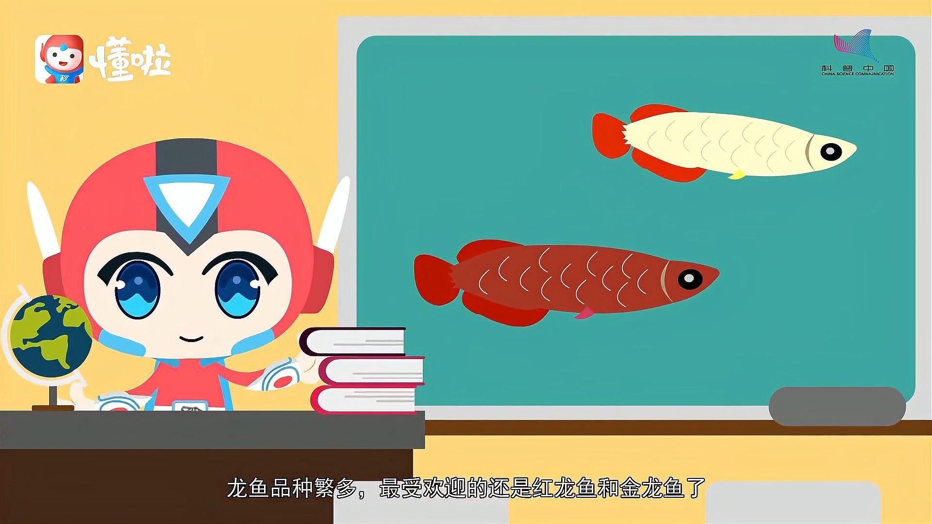 紅金龍魚和金龍魚有什么區別（金龍魚和紅龍魚的區別）