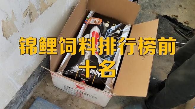 十大錦鯉魚飼料品牌（2025年十大錦鯉魚飼料品牌排行榜，海豚錦鯉魚飼料品牌排行榜） 十大錦鯉魚飼料品牌（2025年十大錦鯉魚飼料品牌排行榜，海豚錦鯉魚飼料品牌排行榜） 觀賞魚百科 第1張