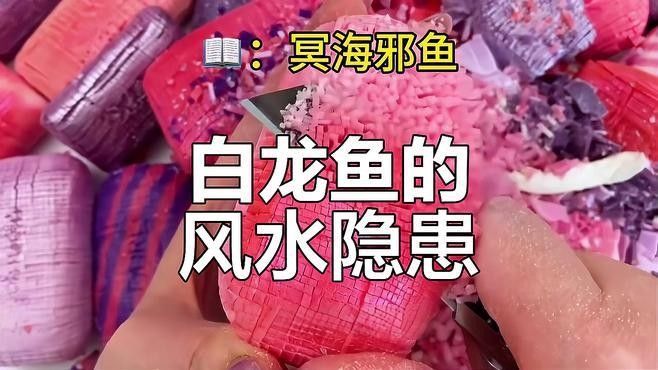 白龍魚的價格波動大嗎？（白龍魚價格波動性較大但高端品種因稀缺性長期保持高位）