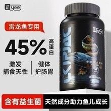 雷龍魚吃什么飼料（雷龍魚怎么養）