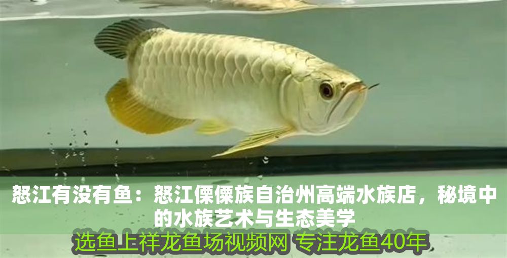 怒江有沒有魚：怒江傈僳族自治州高端水族店，秘境中的水族藝術(shù)與生態(tài)美學(xué)（怒江之畔的水族文化新地標(biāo)）