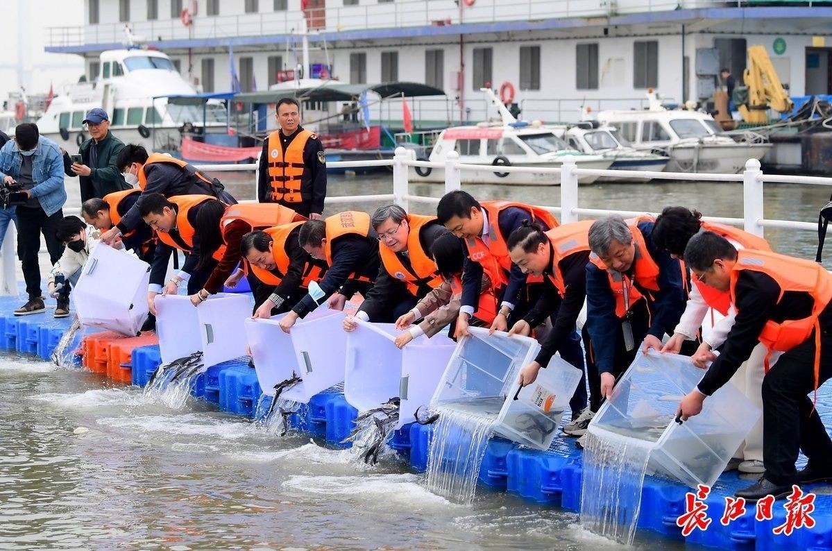 放生鱘龍魚有哪些禁忌？（放生須知，八種禁忌!）