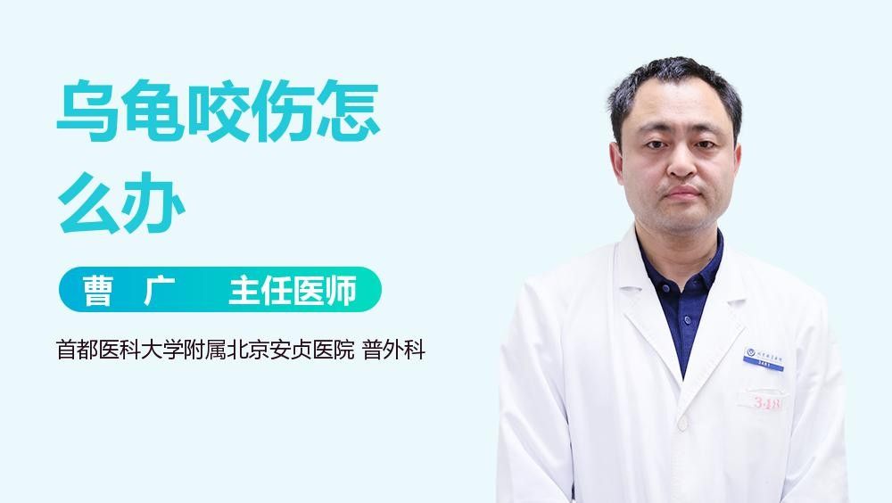 如何預(yù)防豬鼻龜再次被咬傷（如何預(yù)防豬鼻龜再次被咬傷，7大原因+5招根治）