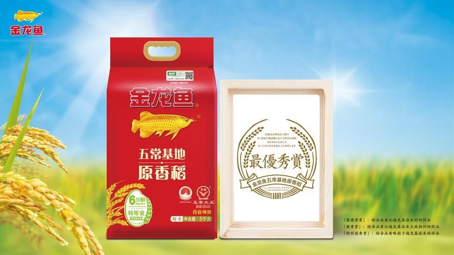 金龍魚原香稻有哪些品種？（金龍魚原香稻的品種介紹）