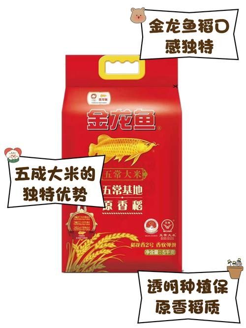 金龍魚原香稻有哪些品種？（金龍魚原香稻的品種介紹）