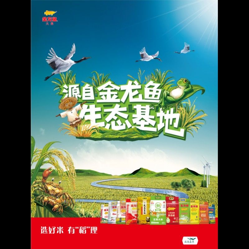 金龍魚原香稻有哪些品種？（金龍魚原香稻的品種介紹）