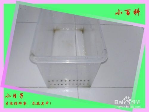 七條金龍魚代表什么意思(9條金龍魚是什么寓意) 七條金龍魚代表什么意思(9條金龍魚是什么寓意) 觀賞魚百科