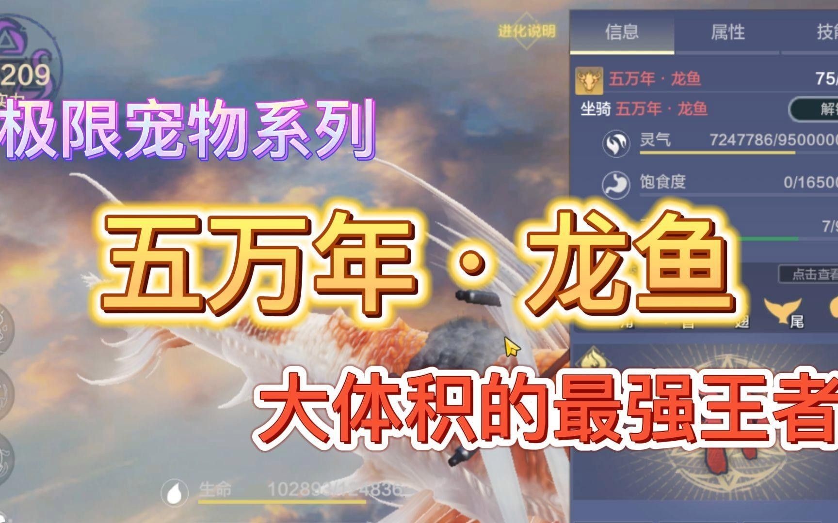 萬年龍魚（《妄想山海》萬年龍魚是什么教輔小幫手萬年龍魚是什么） 萬年龍魚（《妄想山海》萬年龍魚是什么教輔小幫手萬年龍魚是什么） 觀賞魚百科 第1張