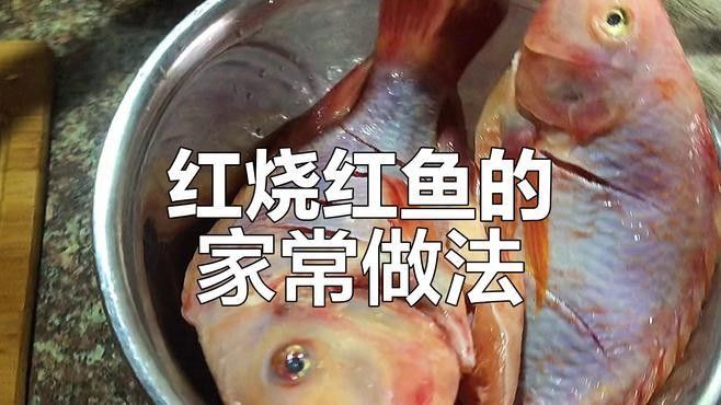 紅燒紅龍魚需要腌制嗎（做紅燒魚時，很多人忽略了這一步，難怪口味差） 紅燒紅龍魚需要腌制嗎（做紅燒魚時，很多人忽略了這一步，難怪口味差） 龍魚百科 第2張