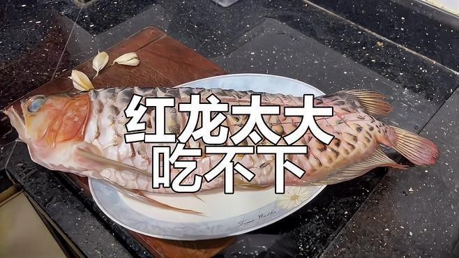 紅燒紅龍魚需要腌制嗎（做紅燒魚時，很多人忽略了這一步，難怪口味差） 紅燒紅龍魚需要腌制嗎（做紅燒魚時，很多人忽略了這一步，難怪口味差） 龍魚百科 第1張