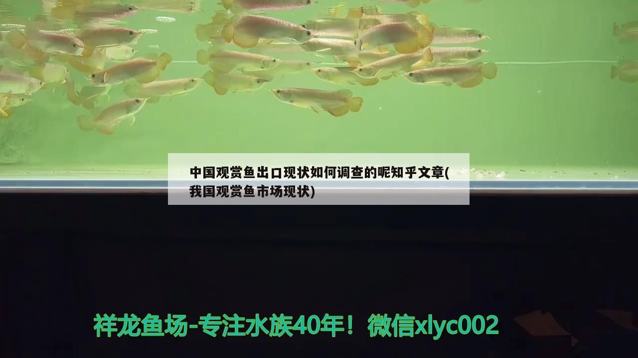 金龍魚不變色：廣東蜜制叉燒肉怎么做（廣東蜜汁叉燒怎么做）