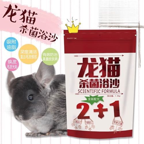 如何科學飼養龍貓以延長其壽命（南美洲栗鼠的科學飼養建議，龍貓的壽命一般是多久）