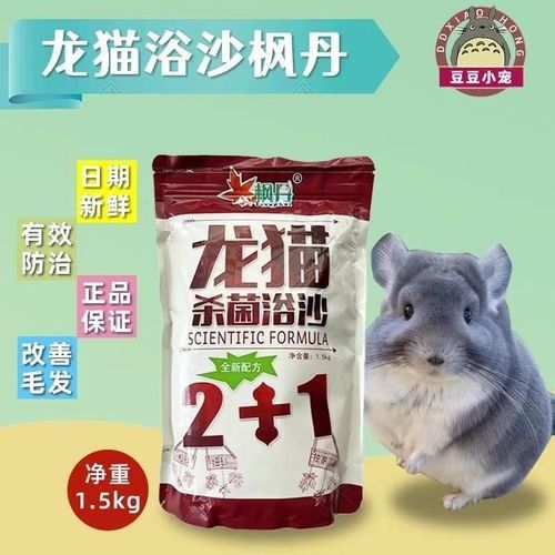 如何科學飼養龍貓以延長其壽命（南美洲栗鼠的科學飼養建議，龍貓的壽命一般是多久）