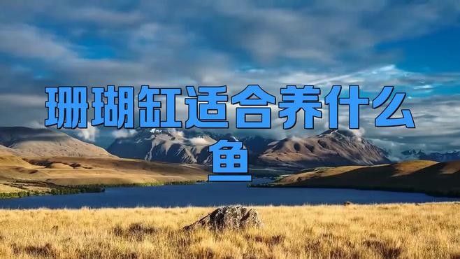 珊瑚缸適合養哪些生物？（珊瑚缸中適合養什么魚幻影戰境珊瑚缸中的生物類型）