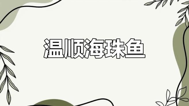 珊瑚缸適合養哪些生物？（珊瑚缸中適合養什么魚幻影戰境珊瑚缸中的生物類型）
