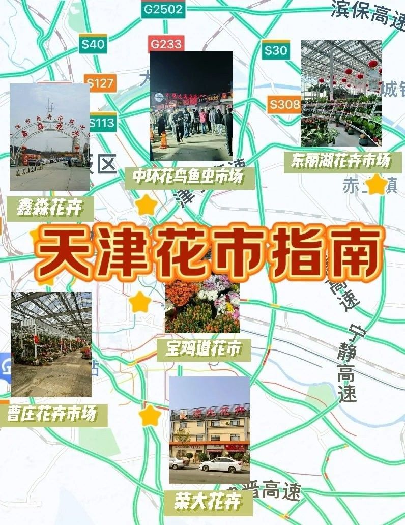 如何聯系天津龍魚批發市場（天津龍魚批發市場如何聯系？） 如何聯系天津龍魚批發市場（天津龍魚批發市場如何聯系？） 龍魚百科 第7張
