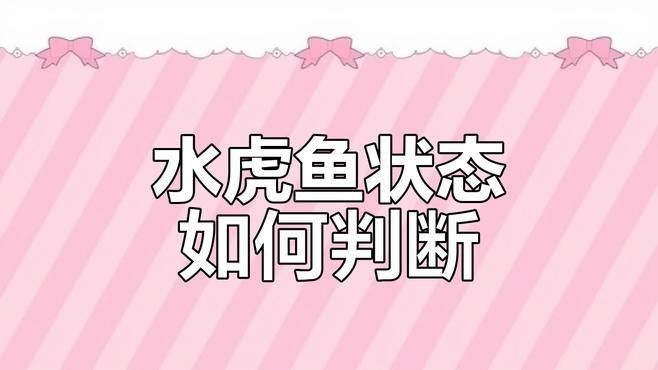 如何挑選健康的虎魚（如何挑選一條健康的虎魚）